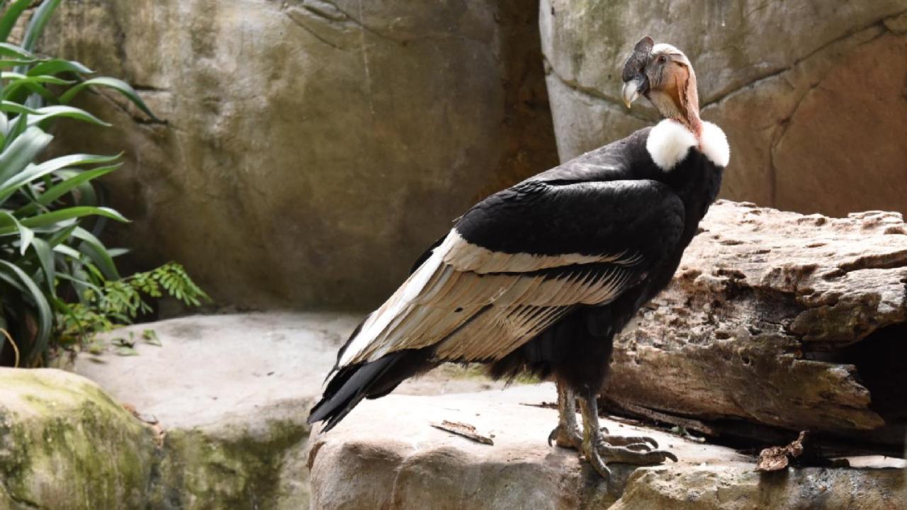 Oresca Guest house Cartagena