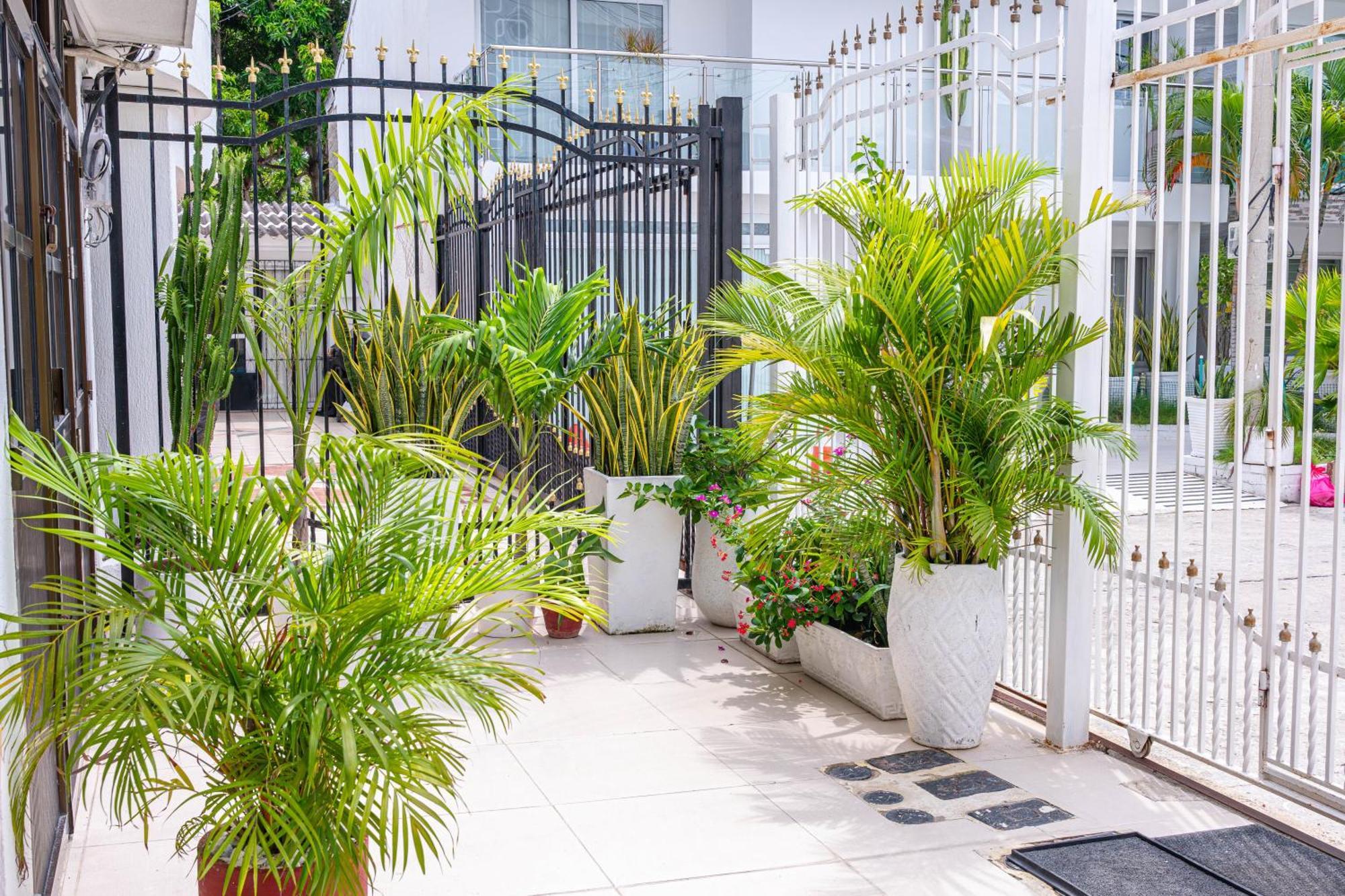 Oresca Casa de hóspedes Cartagena