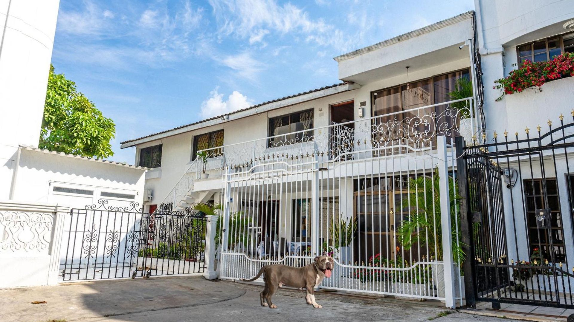 Oresca Guest house 4*