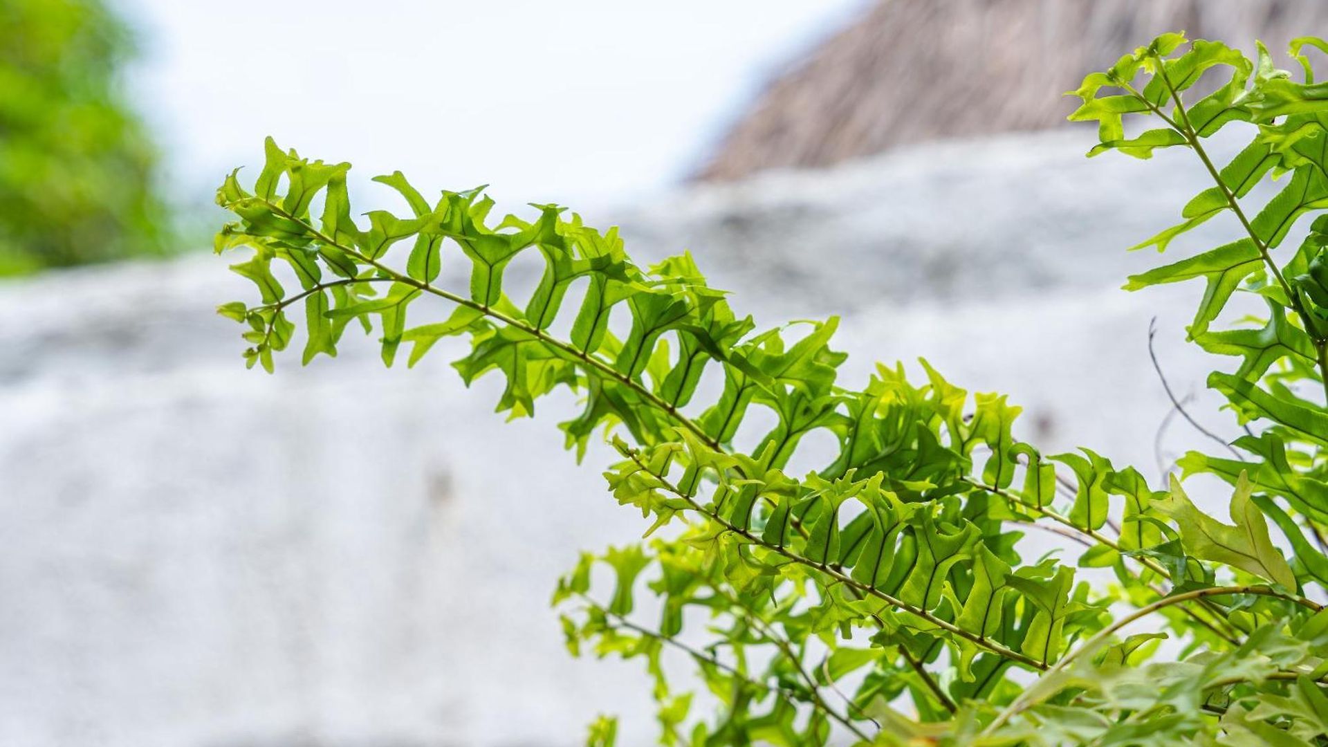 Oresca Guest house Cartagena