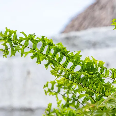 Oresca Guest house Cartagena