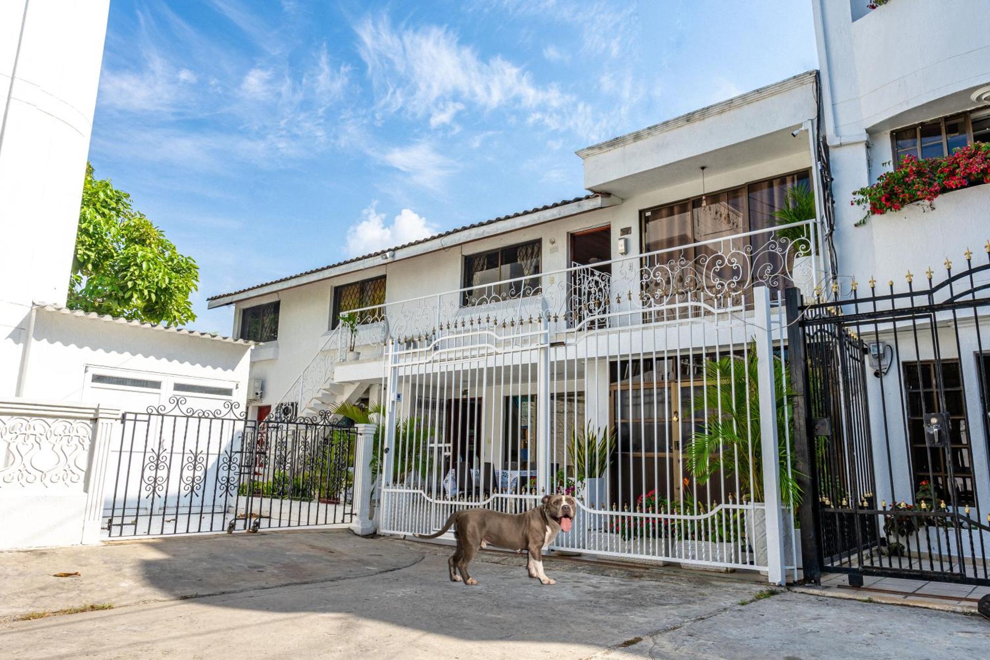 Oresca Guest house 4*