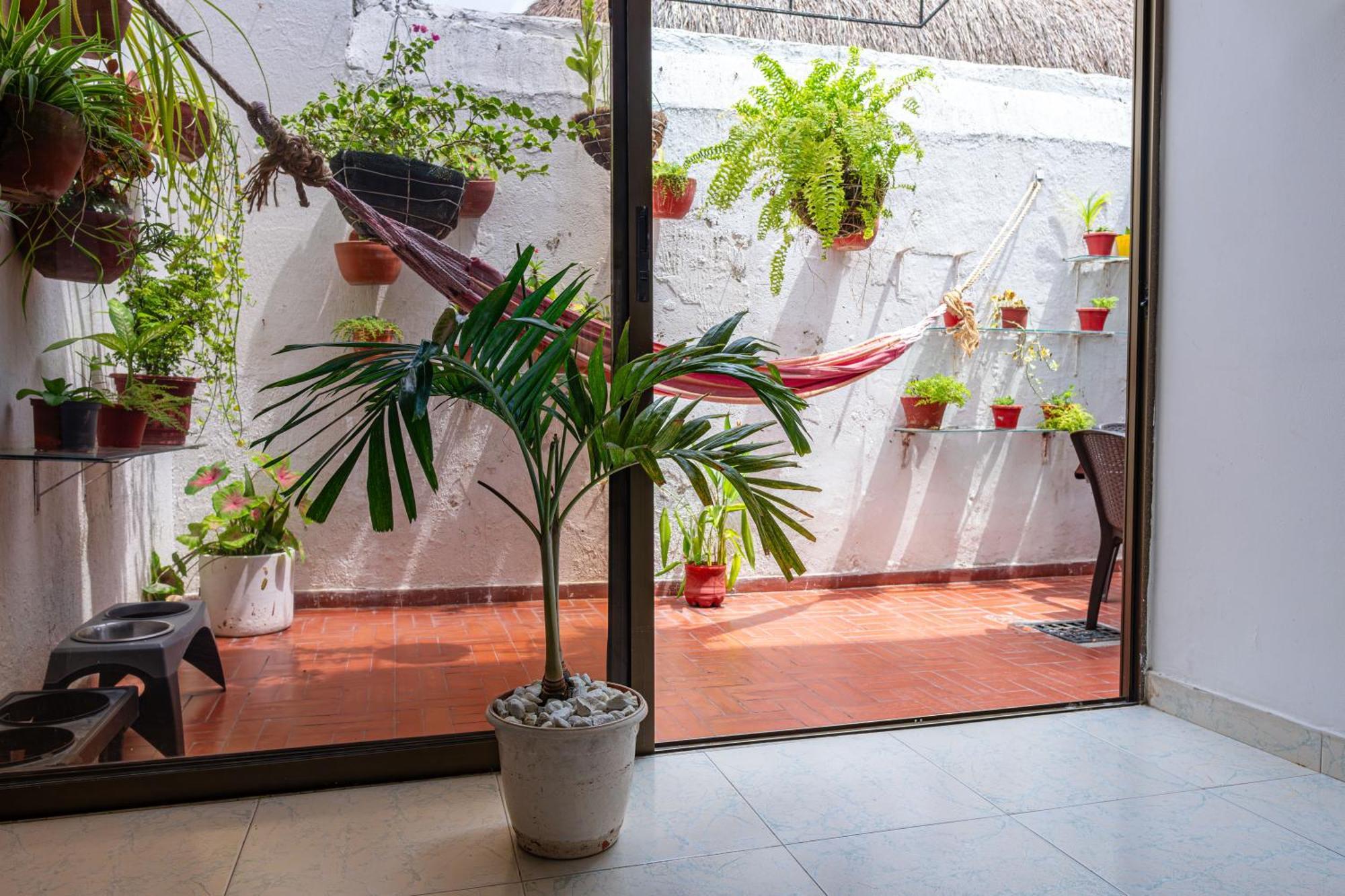 Guest house Oresca
